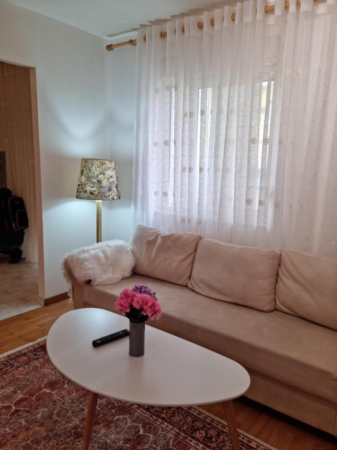 New Lovely Full Of Light Ap In Tirana Exterior photo